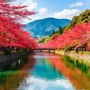 Классическая Япония (осень) Токио-Киото