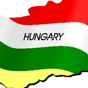 Виза в Венгрию