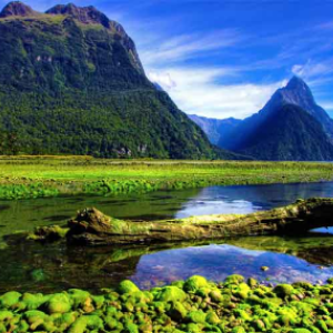 Виза в Новую Зеландию